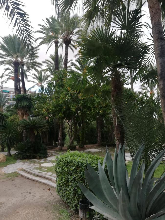 Penthouse Op Toplocatie Orihuela Luaran gambar